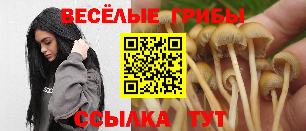 Галлюциногенные грибы MAGIC MUSHROOMS Электросталь