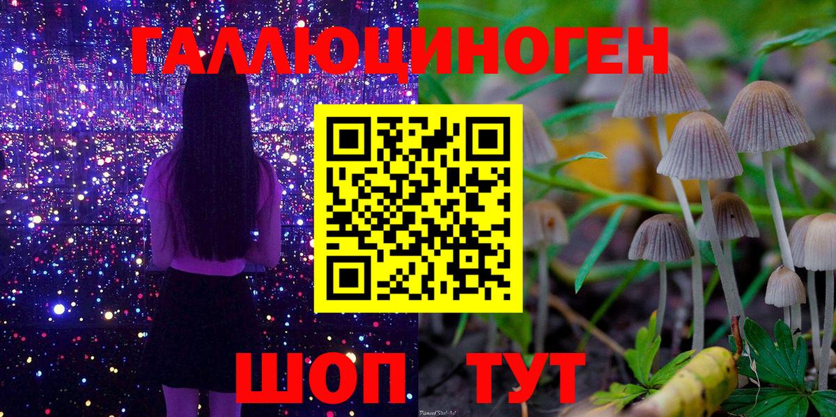 Псилоцибиновые грибы мухоморы  Вход с VPN  Электросталь 