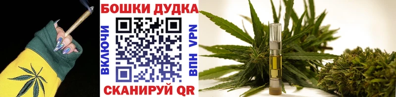 Бошки марихуана семена  продажа наркотиков  Электросталь 
